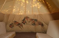Inside Buffalo TeePee