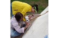 Our KOA Camp Dog Mia