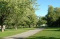 This is "Camping" - Grass...Trees...Blue Skies