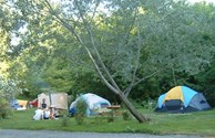 TENT Area Back Sites