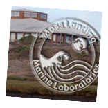 Moss Landing Marine Labs Annual Open House Photo