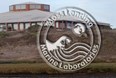 Moss Landing Marine Labs Annual Open House Photo