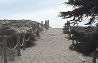 A path to the Beach