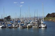 And more Boats!