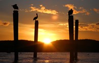 Beautiful sunsets