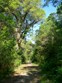 1.5 Mile Walking Trail Photo