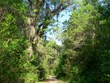 1.5 Mile Walking Trail Photo