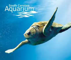 Charleston Aquarium