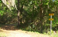 Quiet Walking Trails