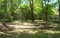 Quiet Primitive Tent Sites