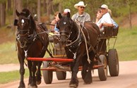 Check out our Free hayrides
