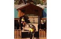 Ride into the west on one of our Trail Ride
