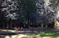 Shuffleboard or horseshoes or gather the family to roast smores for true family fun