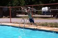 Mt Shasta City KOA Pool