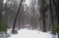 Winter in Mt Shasta