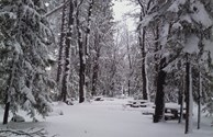 Tent Sites in the Winter