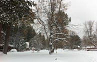 Mt Shasta City KOA, entrance in the winter