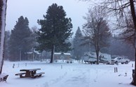Guests Enjoying the Winter