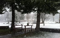 View from the office during a beautiful snowfall.