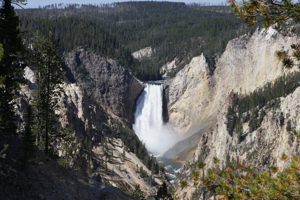 Exploring the Untamed Beauty of Yellowstone Park
