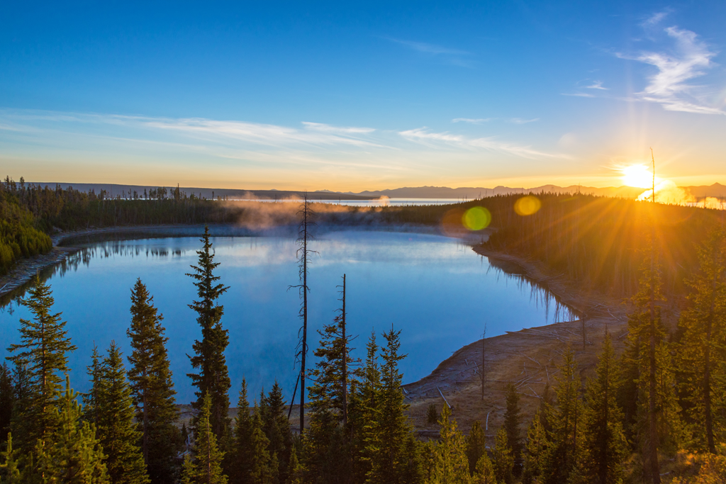 Experience Nature's Renewal in Yellowstone National Park
