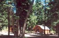 Cozy Log Cabins