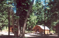 Cozy Log Cabins