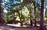 Spacious Tent Sites