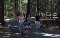 Family time with K9's