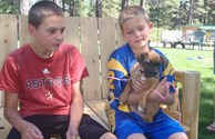 Baby Boxer