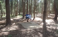 Fun Swing in Forest