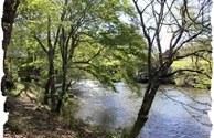 Valley River