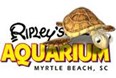 Ripley's Aquarium Photo