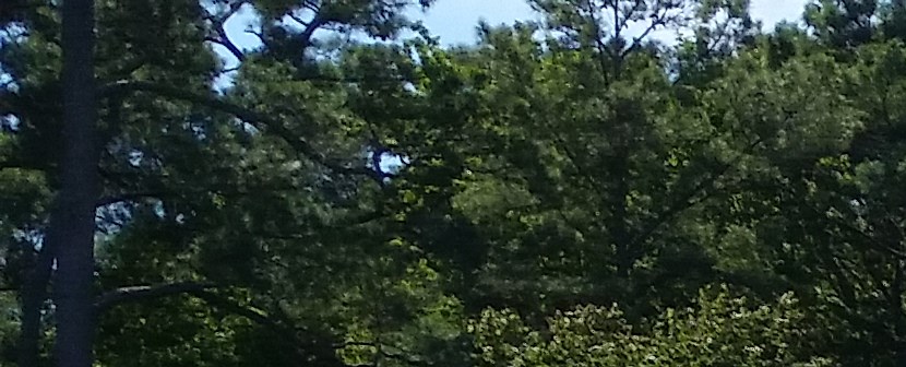 Buoy S Creekside Bar Amp Grill Food Services For The Myrtle