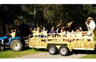 Check out or new Hayride Wagon