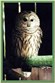 Denison Pequotsepos Nature Center Photo