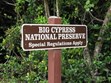 Big Cypress National Preserve Photo