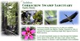 Corkscrew Swamp Sanctuary Photo