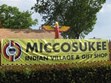 Miccosukee Indian Village Photo