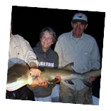 Exclusive KOA program on sharks Photo