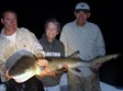 Exclusive KOA program on sharks Photo