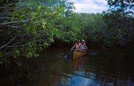 Scenic canoe trail on Henderson Creek