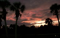 Twilight in the "Glades"