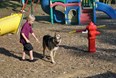 Kamp K-9 Photo