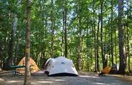 Shady and Scenic Tent Sites
