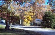 Wooded and Open Camp Sites