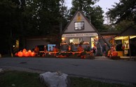 Fall Fun