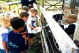 A Day at the Farm Photo