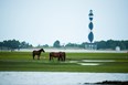 Cape Lookout National Seashore Photo