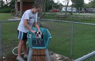 Your pet will enjoy our new "Dog Wash"